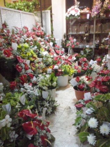 Carmita Floristería flores